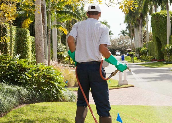 About Barre MA Pest Control Pros